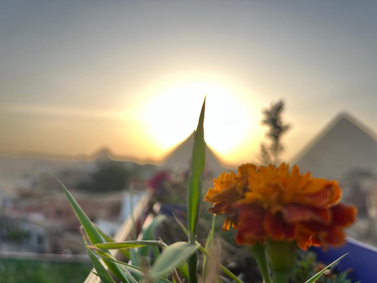 Pyramids Top Success Result Kafrat al Jabal Ngoại thất bức ảnh